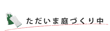 ただいま庭づくり中