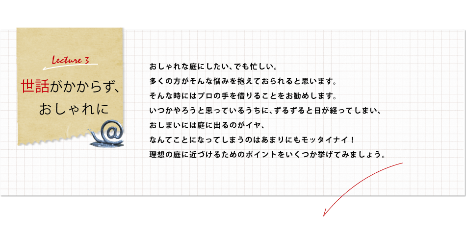 世話がかからず、おしゃれに