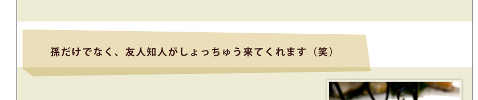 孫だけでなく、友人知人がしょっちゅう来てくれます（笑）