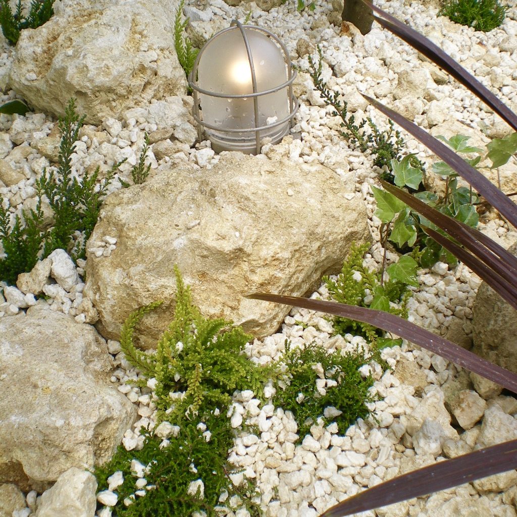 サンゴ石 – nakashouの庭